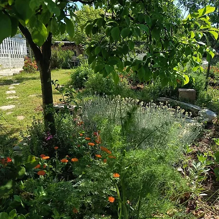 بيت ضيافة Apartma Rosemarin